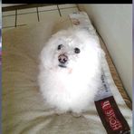 Peiling Cheng - Facebook