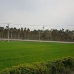 Peiling Cheng - @peiling.cheng.378 - Instagram