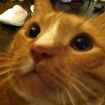 @peilingcheng - Instagram