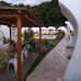 Pejman Sobhani - Facebook