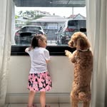Pek Tan - @pektan75 - Instagram
