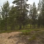 Pekka Halonen - @pekkahalonen6371 - Instagram