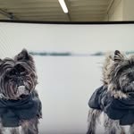 Pekka Halonen - @pekka_halonen - Instagram