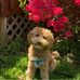 Penny Ackerman - Facebook