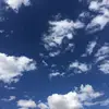penelope.albertson - @penelope.albertso - TikTok