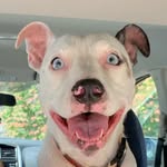 Penelope Alice Travels (13 yrs) - @penelopealicetravels - Instagram