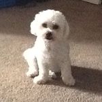 Penelope Bacon - @penelopeishere678 - Instagram