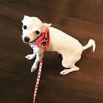 Penelope Bacon 💕 - @penelopebacon_ - Instagram