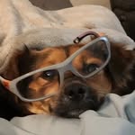 Penelope Baker - @xo.penny.l0ve - Instagram