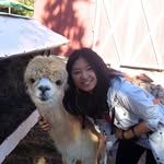 Penelope Ball - @pene.lopeball333lyj - Instagram