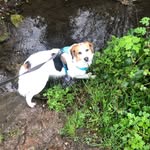 Penelope Ball - @penelsk - Instagram
