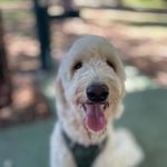 Penelope - @penelope_barrettt2008 - Instagram