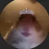 Penelope Barrett - @pbarrett81 - TikTok