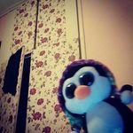 Penelope - @beanie_boo_penelope - Instagram