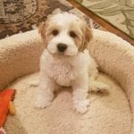 Penelope Bean - @pennyandme_31 - Instagram