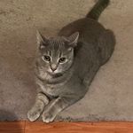 Penelope Bean - @little_p_bean - Instagram