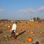 Penelope Bean - @justpenelopebean - Instagram