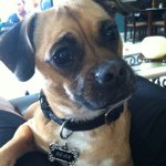 Penelope Bean - @thebeanstagram - Instagram