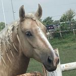 @penelope_beans - Instagram