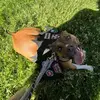 penelopebean1 - @penelopebean1 - TikTok