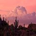 Penelope Becker - Facebook