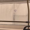 Penelope Becker 😒🦋 - @penelope._becker - TikTok