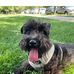 Penelope Penny Becker - Facebook