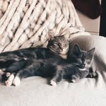 Benjamin and Penelope Millie - @benjaminandpenelope - Instagram