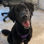 Penelope “Penny” Benjamin - @misspennybenny - Instagram