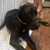Penny !! - @penelopebenjamin - TikTok