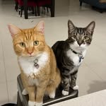 Penelope & Bernárd - @penelope.and.bernard - Instagram