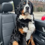 Penelope Rose & Theodore Bernard - @penelope.theberner - Instagram