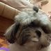 Penelope Bliss Briones - Facebook