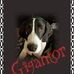 Penelopy Bliss - Facebook