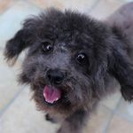 Penelope Bond - @penelope_bond - Instagram