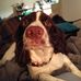 Penelope Booth - Facebook