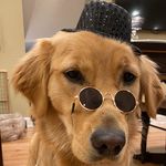 Penelope Brady - @tcitro1017 - Instagram