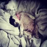 Penelope Danger Brewer - @penelopedangerbrewer - Instagram