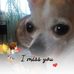 Penny Britton - Facebook