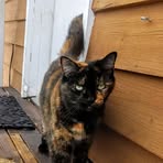 Penelope Browning - Facebook