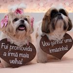 BRUCE&PENELOPE - @brucepenelope2020 - Instagram