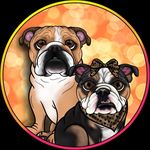 Penelope 🐶✊2️⃣4️⃣ 😇Bruce - @penelopeandalfie.thebulldogs - Instagram