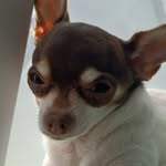 Penelope - @brunoswifepenelope - Instagram