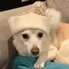 penelopebruno8 - @penelopebruno8 - TikTok