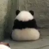 Penelope Bryan - @penelope.bryan971 - TikTok
