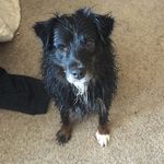 Bucky & Penelope - @bucky_penelope - Instagram