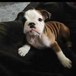 Penelope Penn Burrell  Tenorio - @atuckedwin08 - Instagram