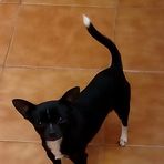 Penelope Cabrera - Facebook