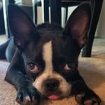 Penelope - @penelope_carpenter_ - Instagram