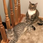 Sandy and Penelope Carson - @sandyandpenelopecarson - Instagram
